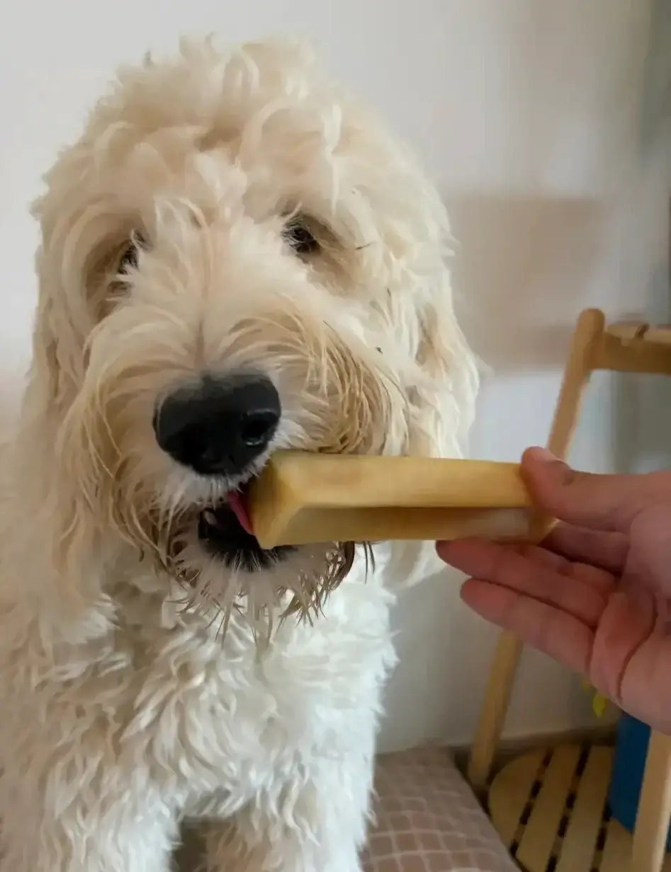 Fromage de yak pour chien