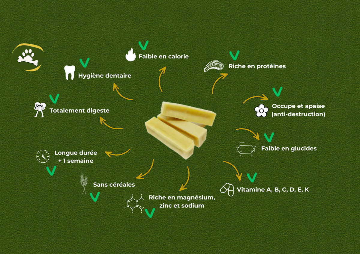 Image indiquant que le fromage de yack est riche en protéines, vitamines, magnésium, zinc, sodium, apporte une hygiène dentaire, est une friandise de longue durée, n'apporte pas de céréales, faible en calorie et en glucides et occupe et apaise les chien s pour éviter la destruction dans les maisons. 