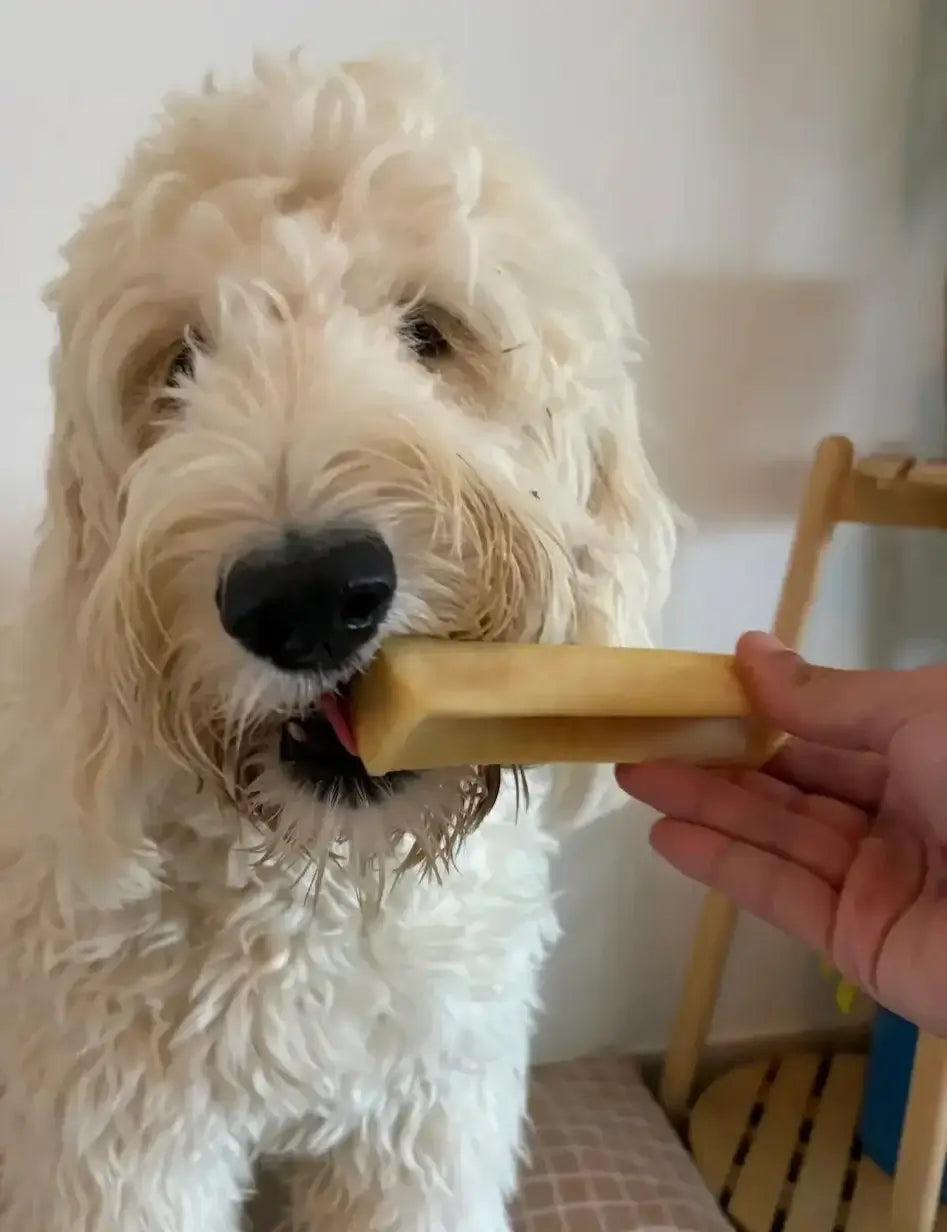 Friandise naturelle pour chien - Fromage de yak pour petit et grand